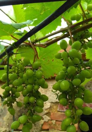 揭开工业物联网 (IIoT) 的神秘面纱